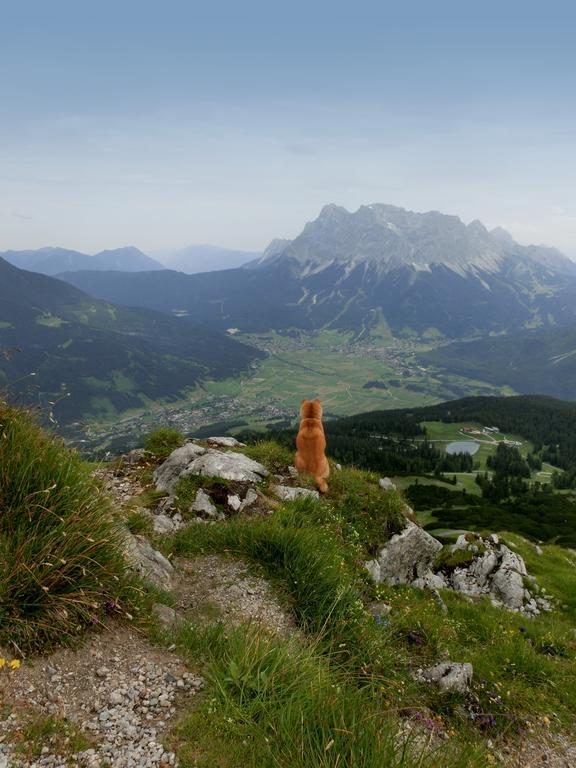 Haus Bergfrieden Hotell Lermoos Exteriör bild